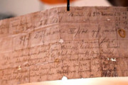 100年前にドイツ兵士が伝書鳩に託した手紙、打ち捨てられているのが見つかるｗｗｗｗ