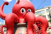 カメラに熱中するタコさん！海底でタコさんと戯れてみた 海外の反応