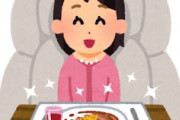 海外「やっぱり！」日本のラノベ作家も批判した環境保護少女の嘘がバレて海外が大騒ぎ