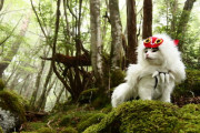 外国人「アニメのコスプレをしまくる日本の猫がキュートだ！」