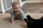 これが人たらしの必殺技、赤子もあやす、犬のスライディングキッスだ！