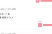 韓国人「フランスに柔道混合団体で敗北した日本で対フランス感情が悪化中…」→アノ国は本当に自己中心的ですね」　韓国の反応