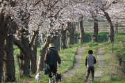 海外「日本に来て散歩が好きになった！」日本での散歩習慣に対する海外の反応