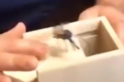 うぎゃああああ。シンプルだけどよくできてるクモが飛び出してくるビックリ箱。海外の反応