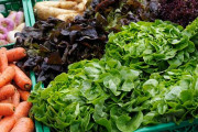 海外「日本で食べられる野菜で好きなのは何？」日本の野菜に対する海外の反応