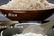 ジャポニカ米のほうが美味いのに何でインド人は食べないんだ？