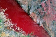 【驚愕】韓国の川、汚染されて真っ赤に染まってしまう…韓国環境部「うーん…これは問題無し！」-韓国の反応