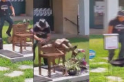 米国バージニア州の慰安婦少女像が毀損される事件発生…犯人はアジア系の男＝韓国の反応