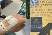 CK値7万7380、兵士が「もう無理」と訴えても腕立て伏せ約100回…韓国軍の幹部を苛酷行為で送致