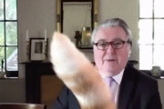 またしても猫乱入。議員のテレビ会議に尻尾で参加した飼い猫（スコットランド）