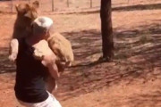 保護されたライオン、命の恩人に全身全力で抱っこをせがむ姿に関する海外の反応