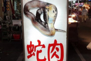外国人「日本の沖縄はヘビも食材なんだぞ！ヤバいよな」ｗｗｗｗｗｗ」