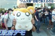 【悲報】タイ王国でアニメ『とっとこハム太郎』が反政府デモの象徴にｗｗｗｗｗｗ