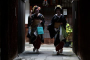 【海外の反応】京都が芸者街への観光客の立ち入りを禁止へ　海外の反応「一部の観光客は類人猿のような行動をする、これは世界中で起きている」