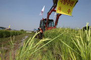 韓国「食糧安全保障のために米農家を減らそう！」→反応「やめろ！日本みたいになるぞ！」