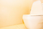 配管工の元カレ、腹いせに別れた女性の家のトイレをまるごと奪うという暴挙
