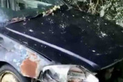 【海外の反応】廃車同然のシビックタイプRを復活させたぞ！(再掲))