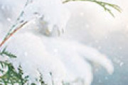 海外「まるで魔法の国だ！」 日本・京都の幻想的な雪景色