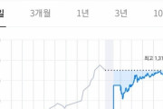 韓国人「米国と通貨スワップを終了し、トルコと通貨スワップを結んだ国」その結果がこちら‥　韓国の反応