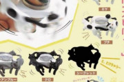 海外「これは日本ならではの発想だね」日本の意外なモノから着想を得たとある回転玩具が面白いと話題に【海外の反応】