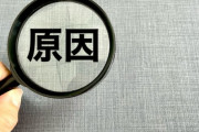 韓国人「韓国の10～30代の死亡原因1位」