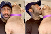 【海外】「家族を失った犬が、救助者の腕の中で見せた感動の瞬間」