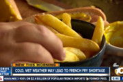 [米国]フライドポテトの危機！？アメリカのジャガイモ収穫量が10年来の不作に…[海外の反応]