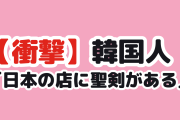 【衝撃】韓国人「日本の店、ギター売り場に聖剣があった」