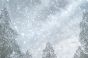 韓国人「日本にある温泉水を使った自動で除雪する道路をご覧ください」→「アイデアがすごい」