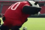 中国人「サッカー日本代表は実は弱かったと言われているけど、決してそんなことは無い」　中国人「アジアだからなぁ」「大谷翔平を待とう」