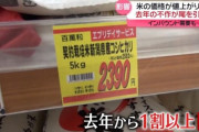 【陰謀論】米が高い＝軍用説爆誕ｗｗｗ 韓国人の脳内、今日も平和です
