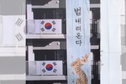 【韓国】ソ・ギョンドク『虎が降りてくる』に難癖をつける日本、「戦犯国のイメージを恐れている」韓国の反応
