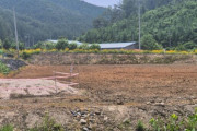 韓国人「赤い死」と呼ばれる果樹の病気が全国に拡大…「立ち入り禁止」焦土化した果樹園の現場レポート