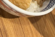 日本で吉野家という予約不要のレストランに出会った←「マックも予約不要だよ」（海外の反応）