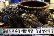【謎食材】韓国人「これ食べたらヤバい？見た目も味もおかしい気がするｗｗｗ」