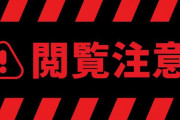 【⚠️グロ閲覧注意】「あぁ...首が...」麻薬中毒に陥った20代韓国人男性の最期がヤバすぎ..."麻薬部署を消した民主党が悪い！"と批判の声があがる