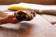 ぺちゃんこな猫型ロボット「フラットキャット」が不気味すぎると話題にｗｗｗｗｗ