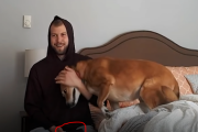 犬：「ゲームするなぁぁ！！」飼い主さんにゲームをプレイして欲しくない犬  海外の反応