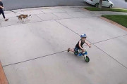 「自転車の少年が自宅のセキュリティセンサーに反応するので…」→対応が称賛される