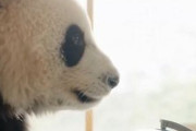 中国人「日本語の国名の漢字表記、日本人は分かるのだろうか」　中国人「カナダがインド風」「ロシアは日本語が正しい」