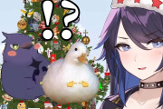 kson、何か見たことある鳥たちをクリスマスプレゼントに貰ってしまう。外国人「何でだろうな。涙が出てきちまったよ」【kson】