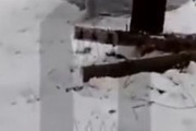 海外「ウクライナで初雪。-6度の中で野営するロシア兵の様子がこちら」