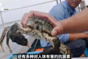 韓国人「驚愕！日本の核処理水より100万倍危険な中国産海産物」