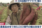 【韓国人の反応】韓国が無断で盗んだ日本のサツマイモ