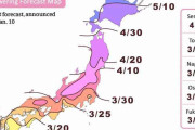 海外「いつもより早いの！？？」 満開を逃すまいと日本の桜開花マップに翻弄される外国人たち 海外の反応
