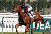 海外の反応　1勝馬アロヒアリイ、フランスG2圧勝！凱旋門賞オッズ急上昇