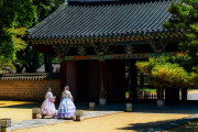 韓国人「生徒たちの読解力が以前より劣る」ハングルのせい？識字力が落ちる韓国の学生たち、読解力より漢字力？