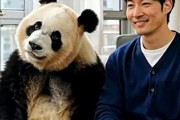 中国人「北京1位の秀才が日本の芸人に。来日3カ月でN1合格」　中国人「思考も反応も速い」「チャイナドレスとお団子ヘア」