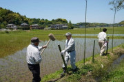 【画像あり】韓国人「日本茨木県に残る『伝統的な稲作豊作祈願行事』に韓国人もビックリ！」→「日本は今でもアニミズム信仰だから」　韓国の反応