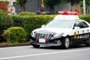 韓国人「日本の警察すごい…」